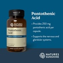 natures-sunshine-pantothenic-acid-100-ca-4.jpg