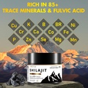 shilajit-resin-himalayan-shilajit-organi-4.jpg