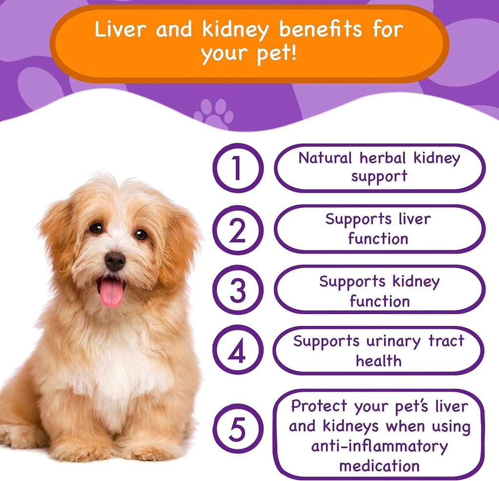 liver-kidney-vitamins-supplements-for-do-2.jpg