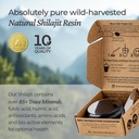 natural-shilajit-resin---shilajit-for-me-3.jpg