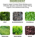 algae-fucoidan-blue-green-algae-kelp-bla-4.jpg