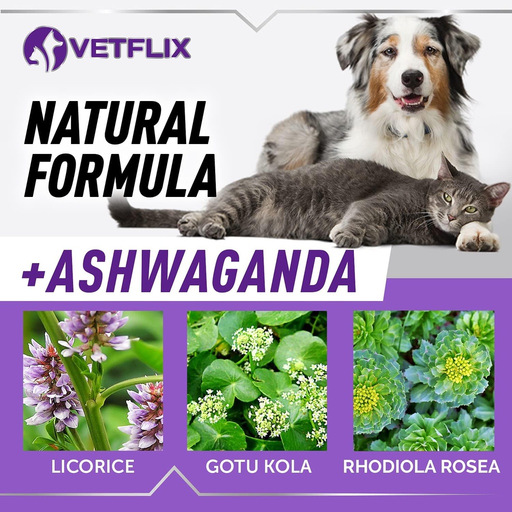 pet-adrenal-support-for-dogs-cats---made-4.jpg
