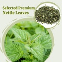 fullchea---nettle-leaf-tea-bags-25-teaba-2.jpg