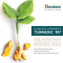 himalaya-turmeric-95---herbal-supplement-3.jpg