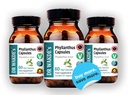 dr-wakdes-phyllanthus-capsules-bhumi-aml-5.jpg