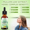 mullein-drops-for-lungs-organic-mullein--4.jpg