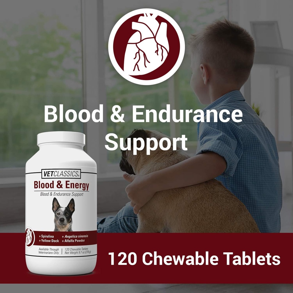 vet-classics-blood-energy-support-for-do-2.jpg