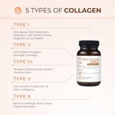 multi-collagen-complex---type-i-ii-iii-v-4.jpg