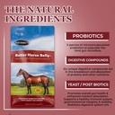 equerrys-better-horse-belly---supplement-3.jpg