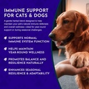 animal-essentials-super-immune-for-dogs--5.jpg