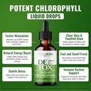 liquid-chlorophyll-drops-50mg-vegan-chlo-2.jpg