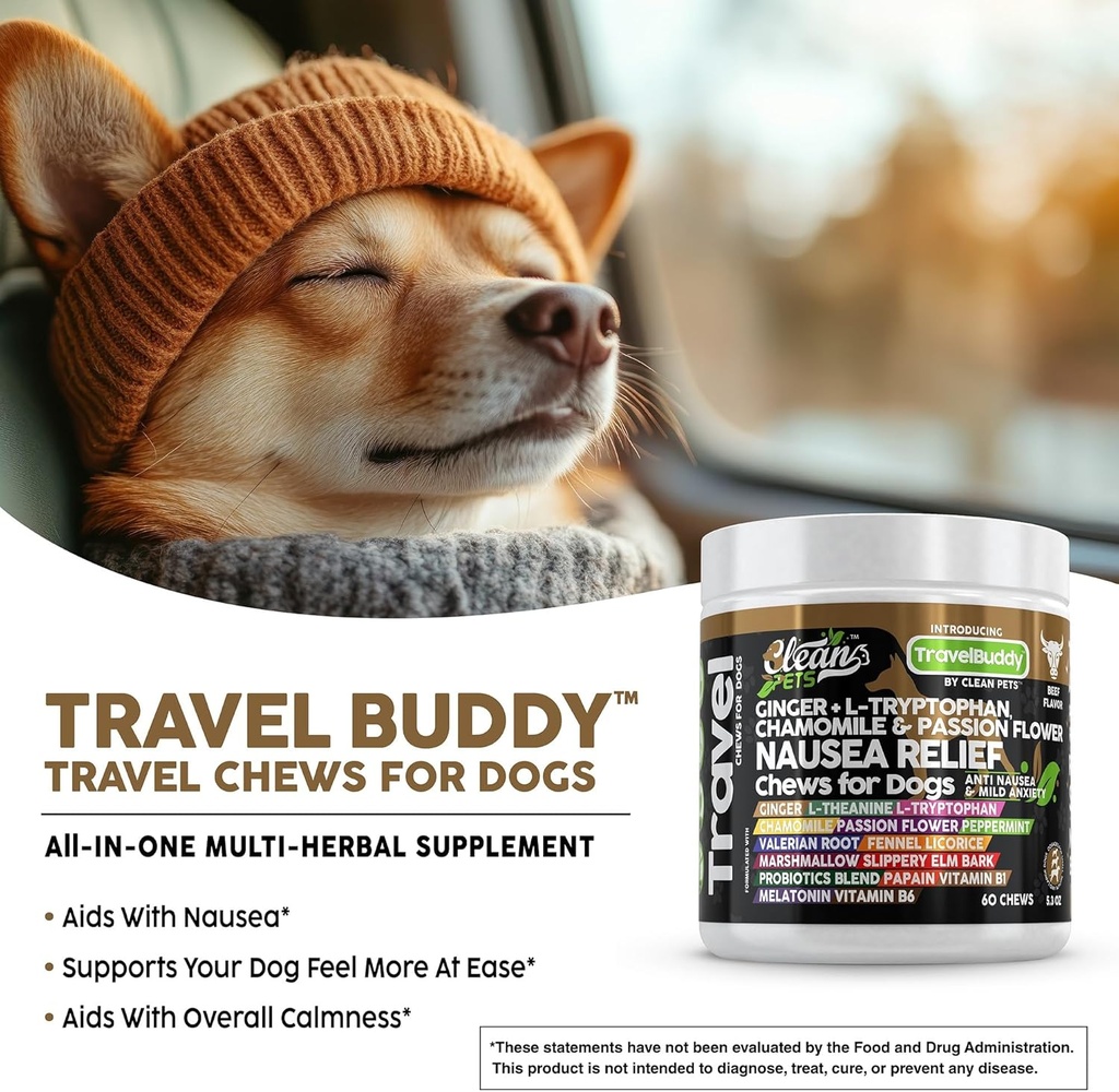 travel-chews-nausea-relief-for-dogs-ging-4.jpg