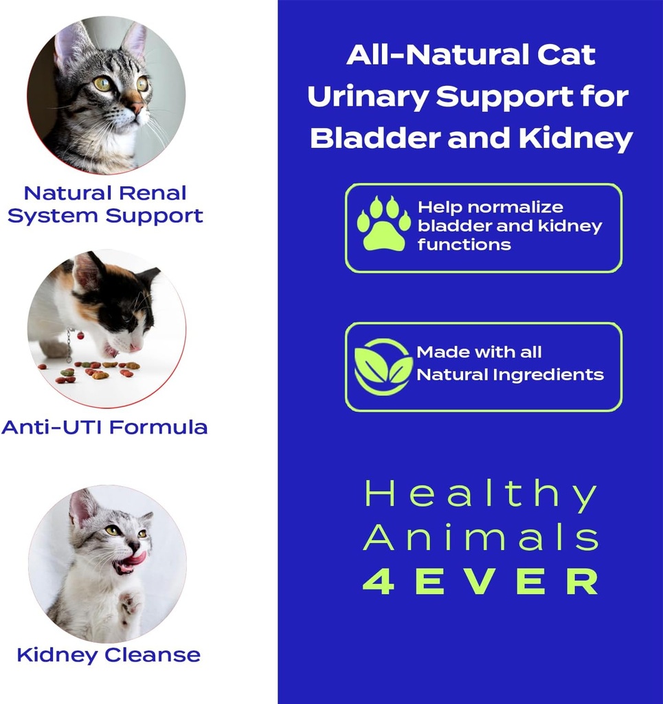 ha4e---cat-uti-remedy---natural-kidney-s-2.jpg