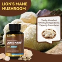 lions-mane-supplement-capsules-lion-mane-4.jpg