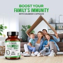 dr-herbalist-kalmegh-extract-400mg-60-ve-3.jpg