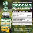 2-pack-sugar-free-3000mg-mullein-gummies-2.jpg