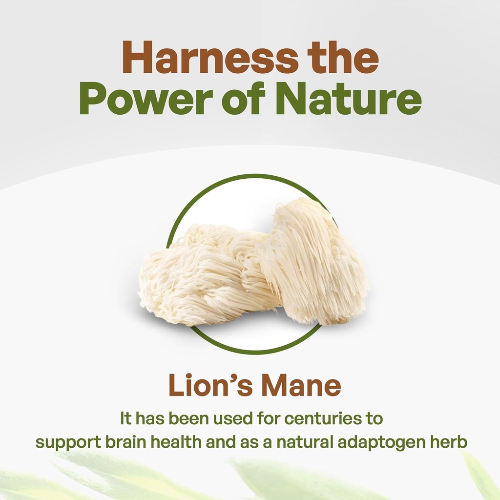 go-nutra---lions-mane-powder-potent-101--3.jpg