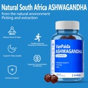 vegan-ashwagandha-gummies-calming-sleep--2.jpg
