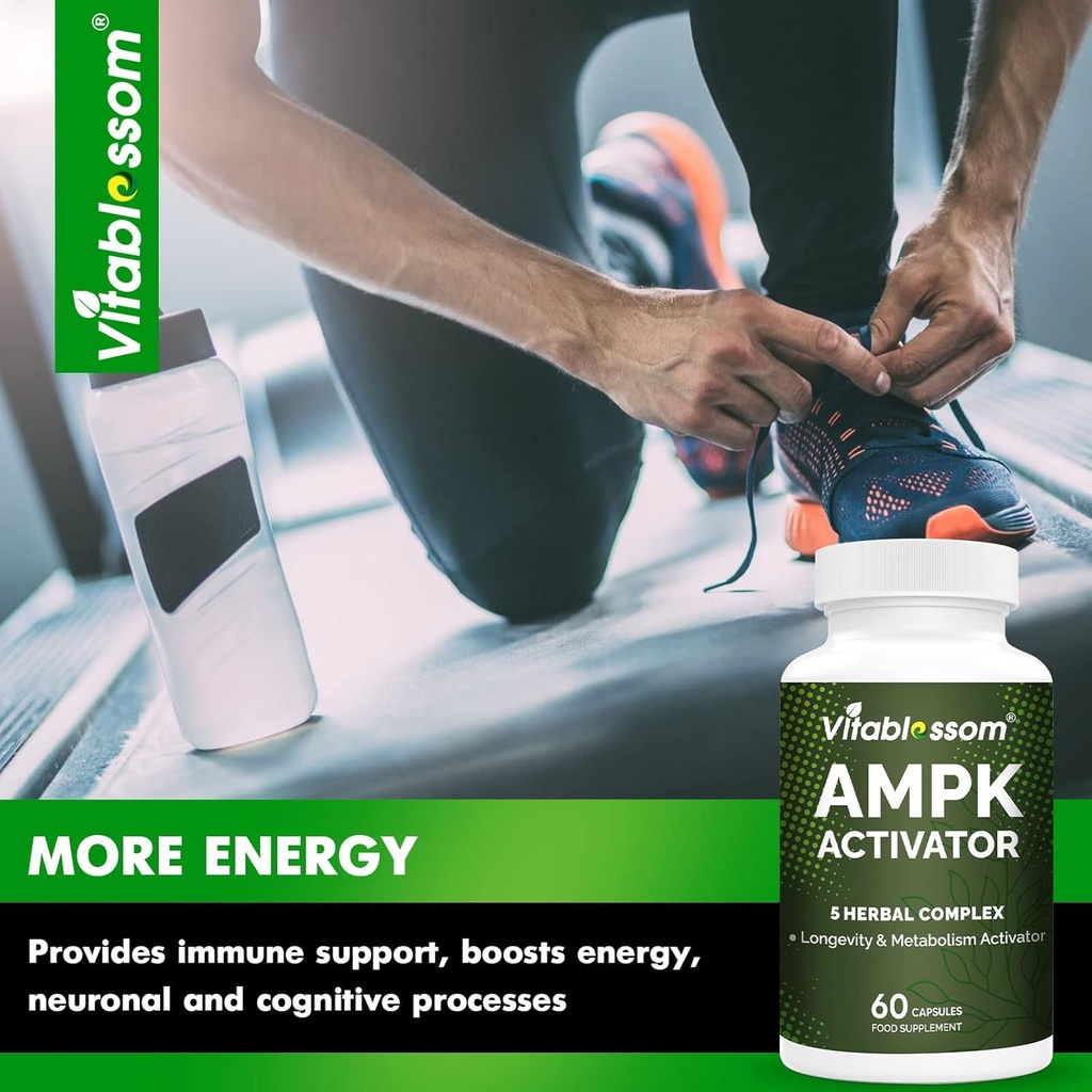 ampk-activator-supplement-5-in-1-jiaogul-5.jpg