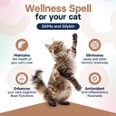 liver-health-supplement-for-cats---milk--6.jpg