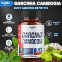 agobi-3in1-garcinia-cambogia-extract-cap-3.jpg
