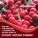 lingonberry-powder-7500mg-for-urinary-tr-3.jpg