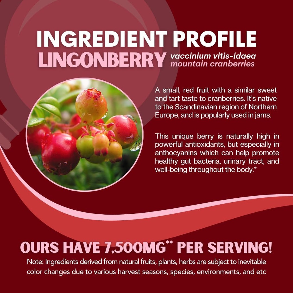 lingonberry-powder-7500mg-for-urinary-tr-4.jpg