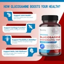 liposomal-glucosamine-chondroitin-msm----4.jpg