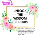 heavenly-herbals-inc-carduus-marianus-q--4.jpg