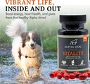 krill-oil-for-dogs---vitality-by-alpha-d-4.jpg
