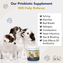 probiotics-for-dogs-digestive-health-chi-4.jpg