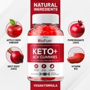 bio-fuel-keto-acv-gummies---advanced-for-5.jpg