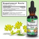 natures-answer-bupleurum-root-bupleurum--3.jpg