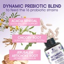probiotics-for-women-60-billion-cfu---16-5.jpg