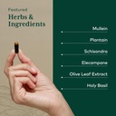 gaia-herbs-pro-daily-lung-formula---resp-4.jpg
