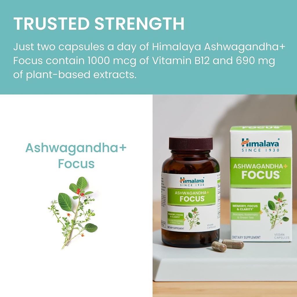 himalaya-ashwagandha-focus---herbal-focu-6.jpg