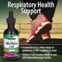 natures-answer-mullein-leaf-2-oz-4.jpg