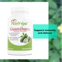 guanabana-graviola-soursop---super-antio-3.jpg
