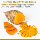 premier-research-labs-premier-turmeric-c-3.jpg