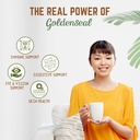 naturefi-organic-goldenseal-root-powder--4.jpg