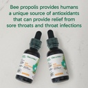 organika-bee-propolis-tincture-1-oz-x-2--6.jpg