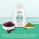 sea-moss-supplement---natural-irish-moss-2.jpg