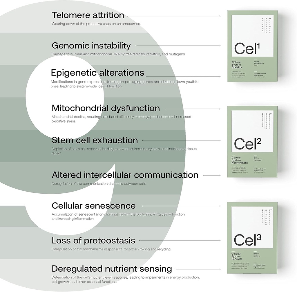 srw-laboratories-cel1-stability-stem-cel-5.jpg