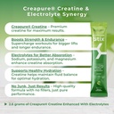 myoxcience-electrolyte-stix-creatine-ele-6.jpg