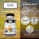 kaya-naturals-platinum-mobility-turmeric-4.jpg