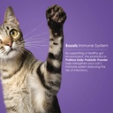 probiotics-for-cats-complete-gut-health--6.jpg