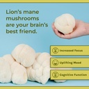 naturealm-lions-mane-mushroom-supplement-3.jpg