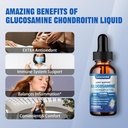 1-pack-glucosamine-chondroitin-msm-liqui-5.jpg