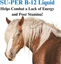 su-per-b-12-energy-horse-supplement---eq-3.jpg