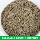 pellet-gastric-support-supplement-for-ho-2.jpg
